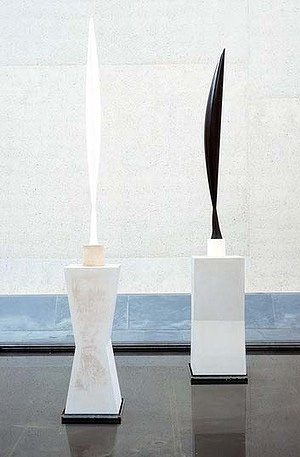 Brancusi Pasari in vazduh